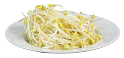 Soy Bean Sprouts - LB