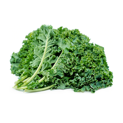 Green, Curly Kale - LB