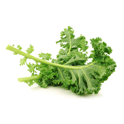 Green, Curly Kale - LB