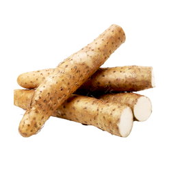 Japanese Mountain Potato - LB