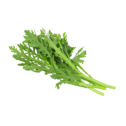 Chrysanthemum Leaf - LB