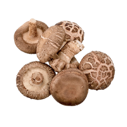 Chinese Shiitake Mushroom - LB