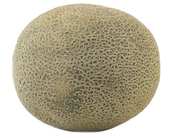 Cantaloupe - EA