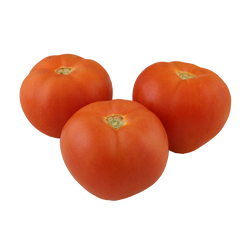 Tomato 5x6 - LB