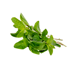 Mint - bn