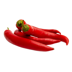 Holland Long Red Pepper - LB