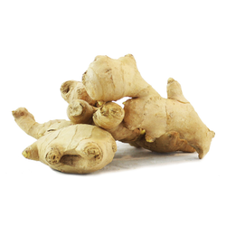 Ginger - LB