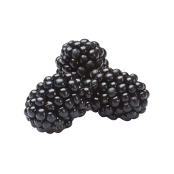 Blackberry - 6oz