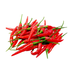 Thai Red Bird Chili - LB