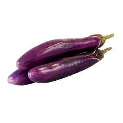 Chinese Eggplant - LB