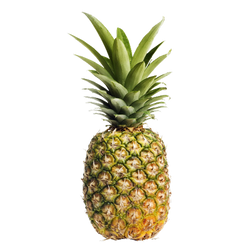 Pineapple - EA