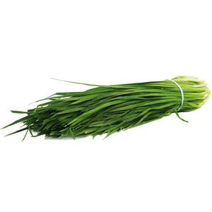 Chive - LB