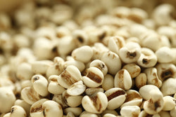 Pearl Barley, Chinese (Job's Tears) - 12oz