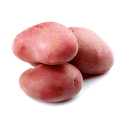 Red Bliss Potato - LB