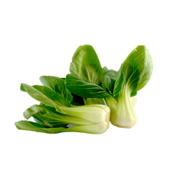 Shanghai Bok Choy - LB