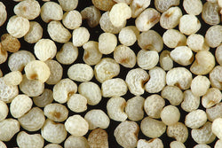 White Poppy Seeds - Keshav - 7oz