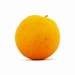 Navel Orange - EA