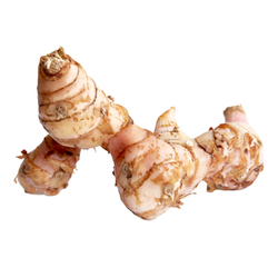 Galangal - LB