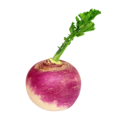 Turnip - lb