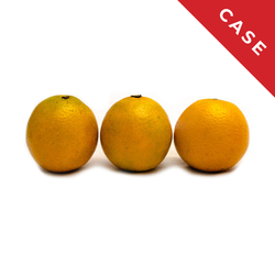 Orange (Juicing) - 88 ct/cs