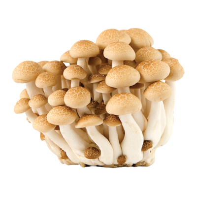 Produce > Mushrooms