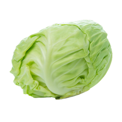 Flat Cabbage - Each