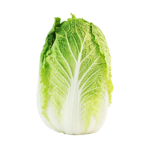 Napa Cabbage - Each (Approx. 3-4lb each)