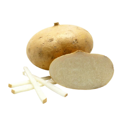 Jicama - EA