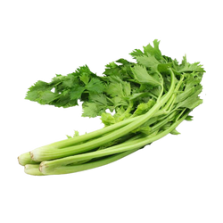 Chinese Celery - 1 Bunch (Approx. 2lbs)
