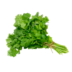 Cilantro - 4oz