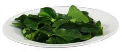 Kaffir Lime Leaf - 4oz