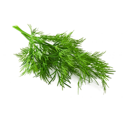 Dill - 4oz