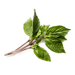 Thai Basil - 4oz