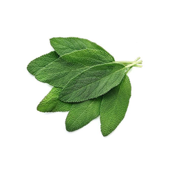 Sage - 4 oz