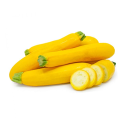 Yellow Squash - EA