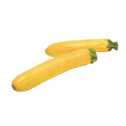 Yellow Squash - EA
