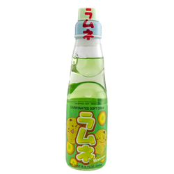 Bin Iri Kiwi Ramune Soda - 6.6oz