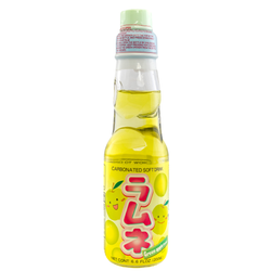 Bin Iri Green Apple Ramune Soda - 6.6oz