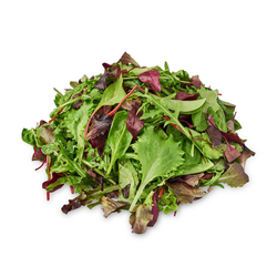 Mesclun Mix - 3 LB Case