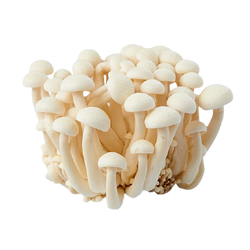 White Honshimeji Mushrooms - 5.3 oz