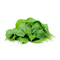 Baby Spinach - 3 lb Case