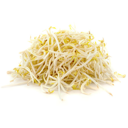 Mung Bean Sprouts - LB
