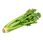 American Celery - Bunch