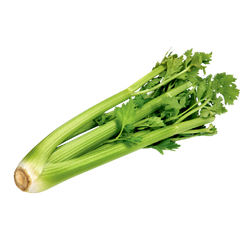 American Celery - Bunch
