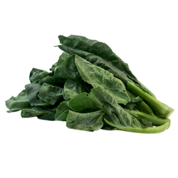 Chinese Broccoli - LB