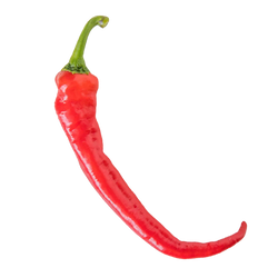 Long Red Pepper - LB