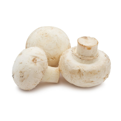 Medium Size Button Mushrooms - 10 lb Case