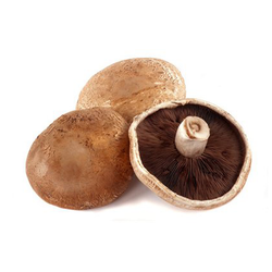 Portobello Mushrooms - 5 lb Case