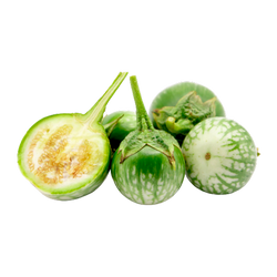 Thai Eggplant - LB