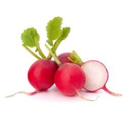 Red Radish - 6oz bag